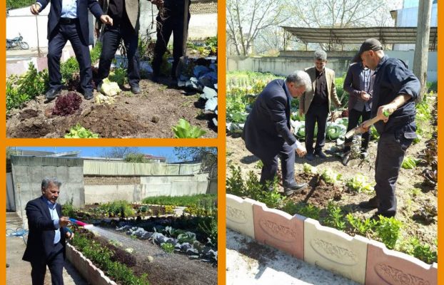 غرس نهال در روز طبیعت با یاد شهدای جنگ رمضان